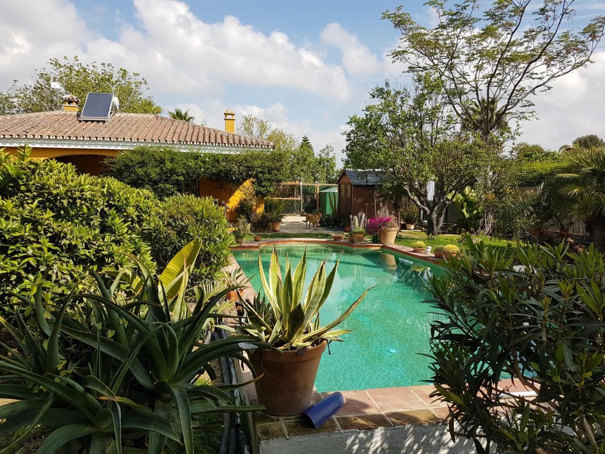Finca La Gallina Blanca Alhaurín el Grande Екстериор снимка